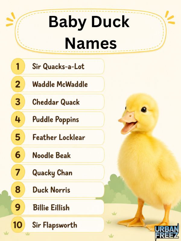 baby-duck-names