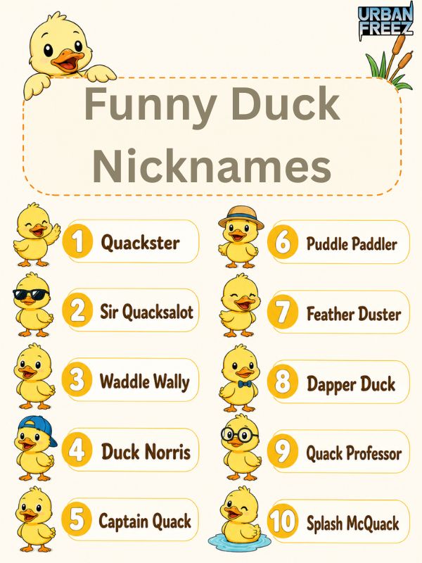 funny-duck-nicknames